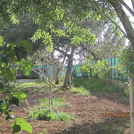 מלון Quinta Da Fonte Em מונקאראפאצ'ו מראה חיצוני תמונה
