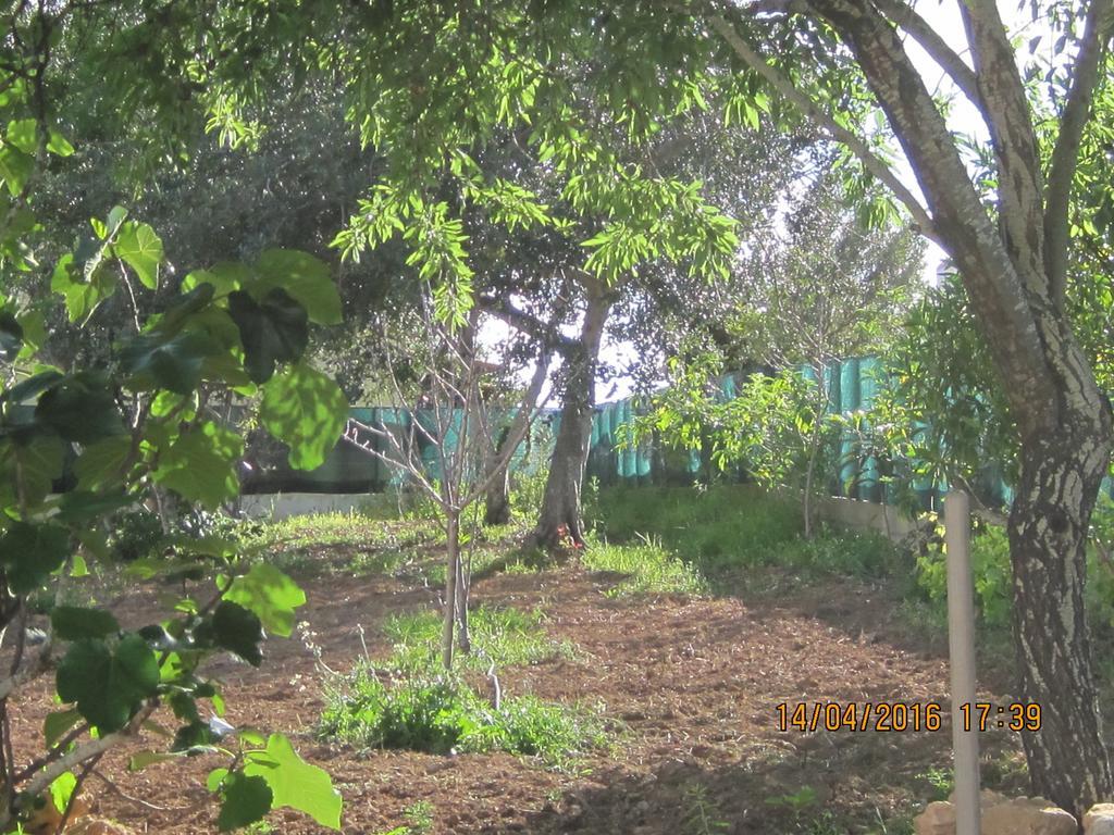 מלון Quinta Da Fonte Em מונקאראפאצ'ו מראה חיצוני תמונה