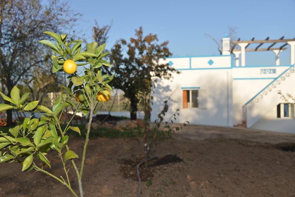 מלון Quinta Da Fonte Em מונקאראפאצ'ו מראה חיצוני תמונה